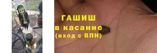 хмурый Осинники
