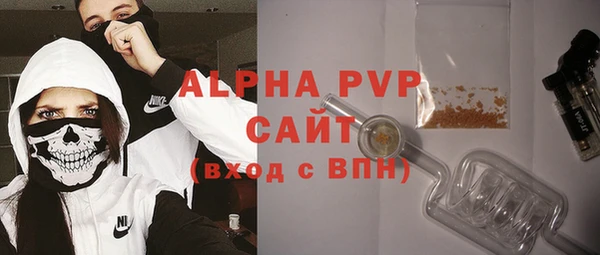 хмурый Осинники