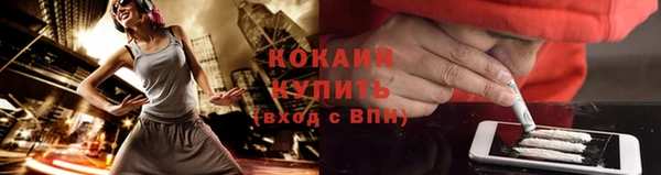 хмурый Осинники