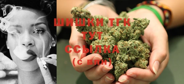 дмт Осташков