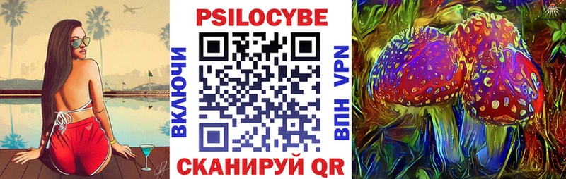 купить наркотик omg онион Галлюциногенные грибы Psilocybine cubensis Петушки